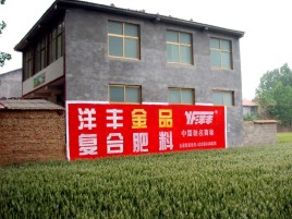永康如何让墙体广告展现最大化效果